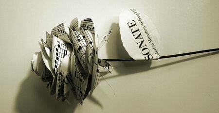 Rose, découpée à main levée dans une sonate de Mozart,©Kalifragili (tous droits réservés)