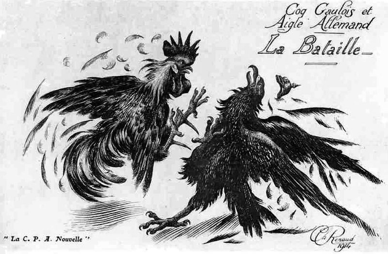 Le coq gaulois0