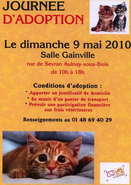 recettes Comment vont les chats ?