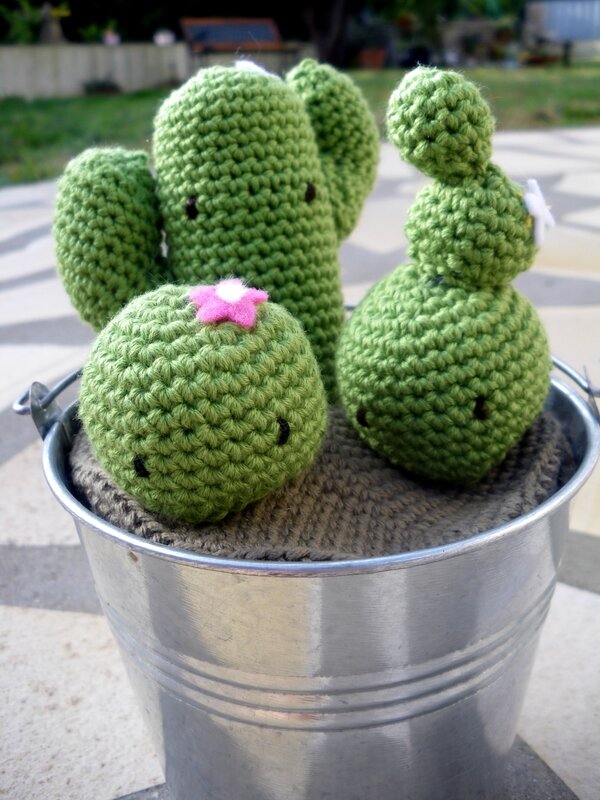 Cactus crochet (11)