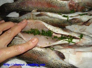 Copie_de_Img4970