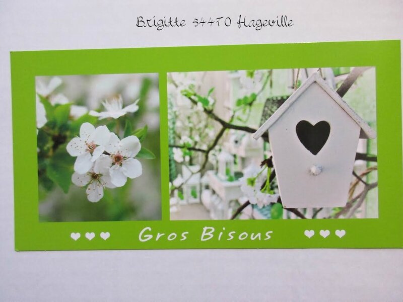 BRIGITTE 54470 HAGEVILLE