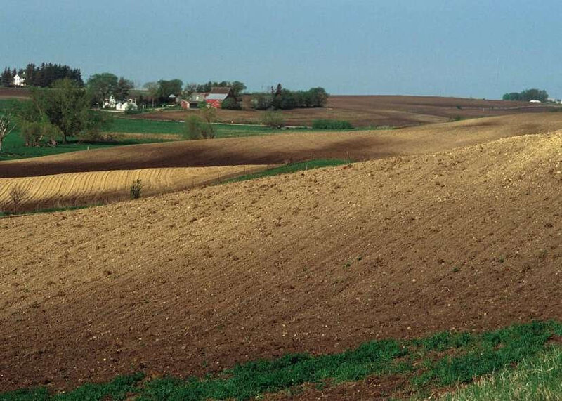 Terre végétale