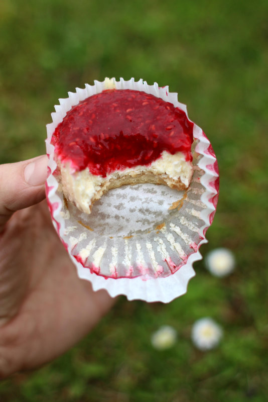 Mini-cheesecake-framboise-1