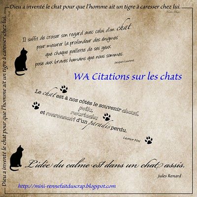 PV_Citations_sur_les_chats