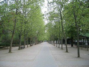 Luxembourg_matin