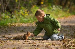 sos-animaux-blesses