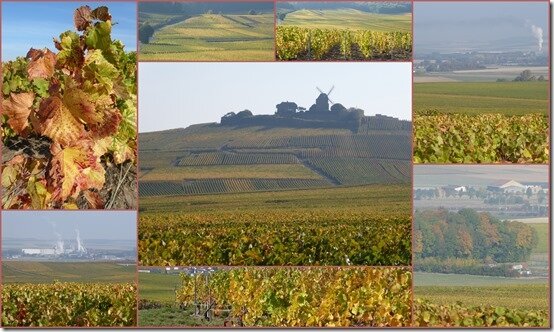 vignes 9 octobre 20183