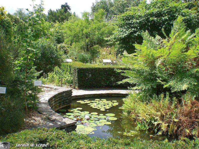 Jardin Systématique et Phylogénétique