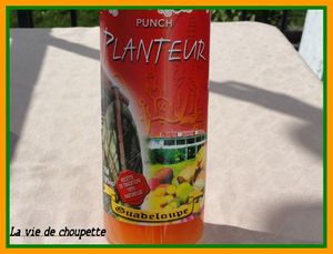 Dame Besson partenariat 009