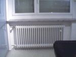 Radiateur_Visible