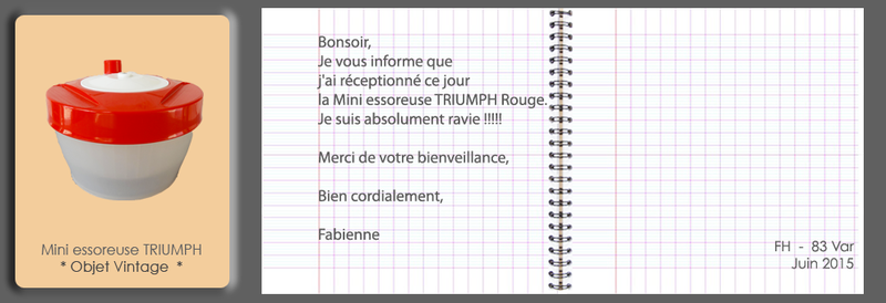 2015-06-Mini-essoreuse-Triumph