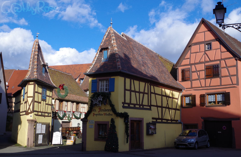 Eguisheim (148)