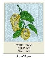 citron05 2