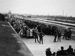 Auschwitz Birkenau selection Shoah déportation Avranches Rosenthal