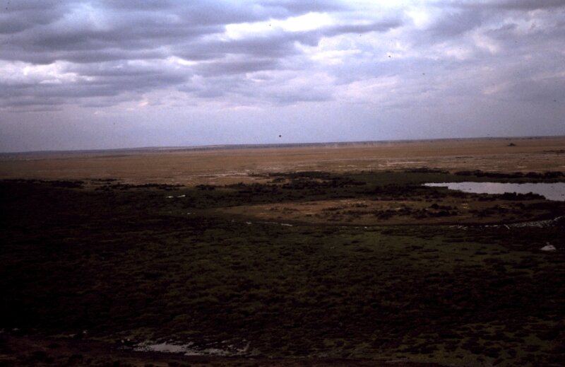 amboseli paysage j