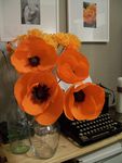 poppies2