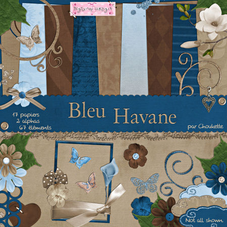 BleuHavane_Choukette_preview_