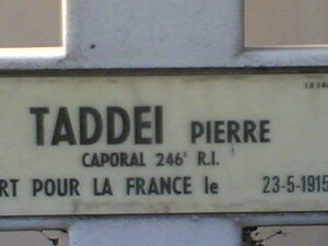 NDL_TADDEI