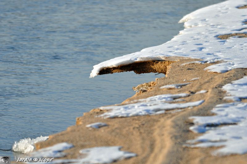 Corniche de sable creusée par la Loire  (12 Février 2012)