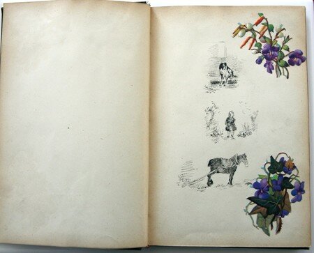 violettes
