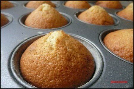 Mini gâteau au yaourt et coeur de chocolat recettes dessert gâteau au yaourt et chocolat