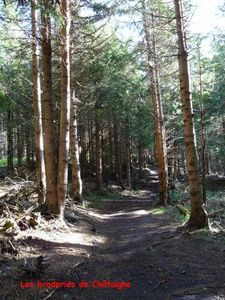 Le Mont Mézenc 09-06-2012-0045