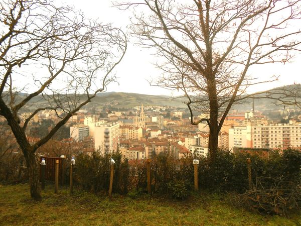 vue St-Cham depuis colline St-Ennemond 1 (24 déc 2012)