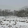 [RETRO 2012] Février, des neiges auvergnates aux flamants héraultais