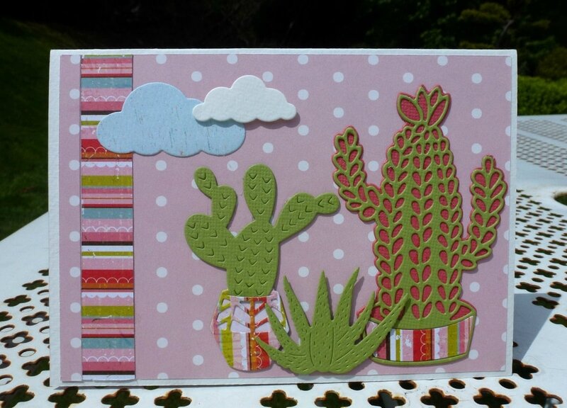 Pop-up-cactus1