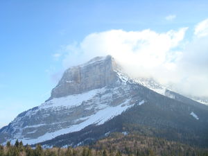 DSC00004