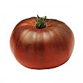 Eventail d'<b>aubergines</b> et tomates