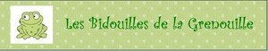 les_bidouilles_de_la_grenouille