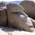 ROCHERS ANTROPOMORPHES et BESTIAIRE MINERAL