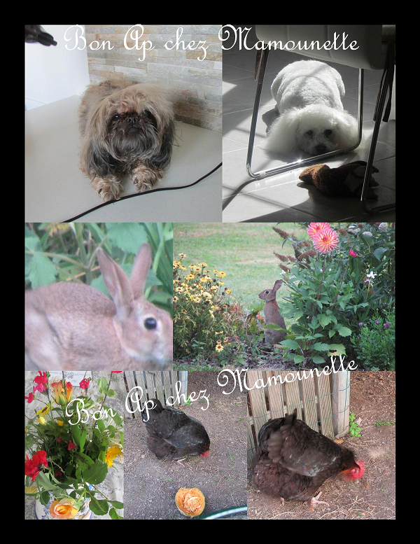animaux chez Mamounette