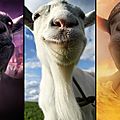 Test de Goat Simulator The Bundle <b>PS4</b> : Il est parfois dur d'être une chèvre