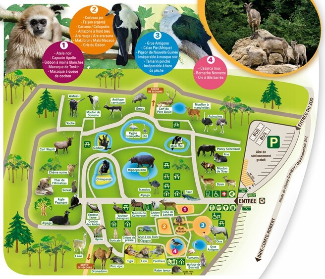 plan-zoo-attilly