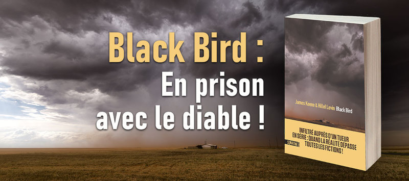 2927__desktop_CouvertureArticleBlackBird