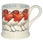 1bir100002-Robin-2011-half-Pint-Mug-medium