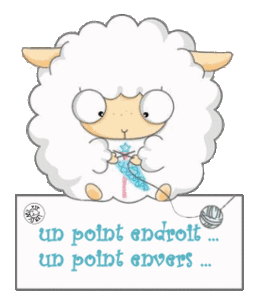 tricot_mouton