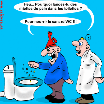 wc_canard_WC