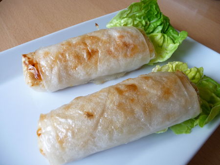 Nems au poulet cuisson au four recettes galette de poulet orientale