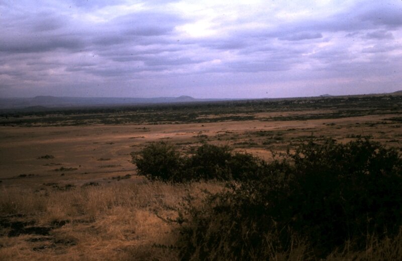 amboseli paysage i