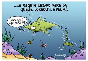 Requin lezard