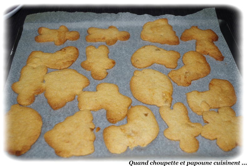 bredeles à la cannelle-8645