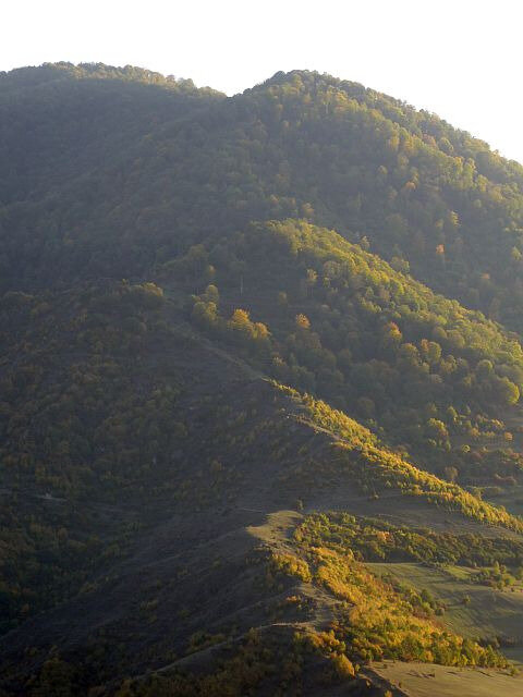 a61