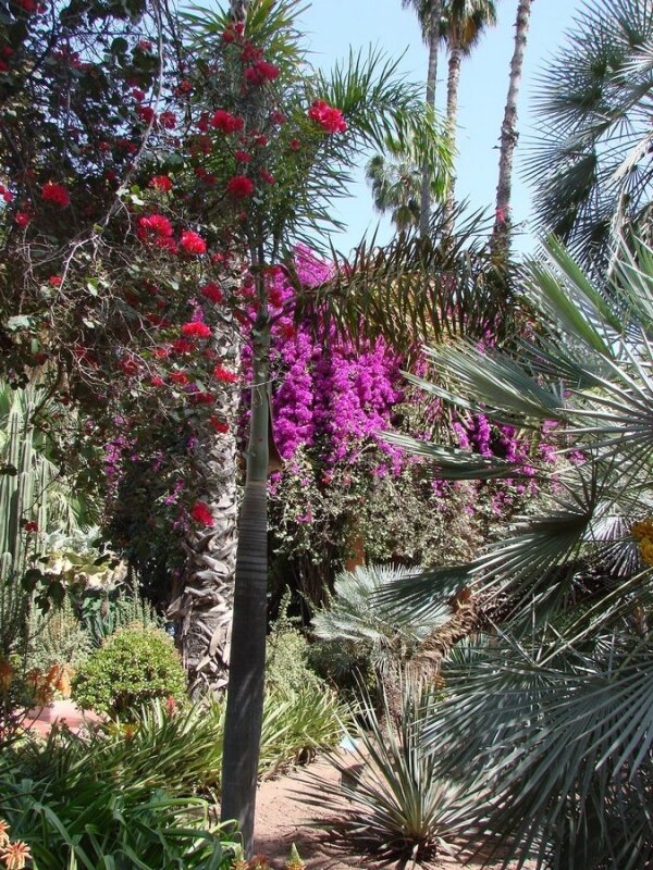 Les Jardins de Majorel (5)