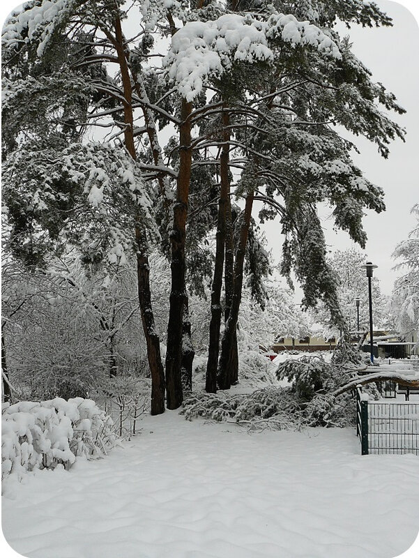 Quartier Drouot - Photo neige 25