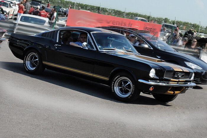 Mustangnats_Tasunkaphotos2018_14