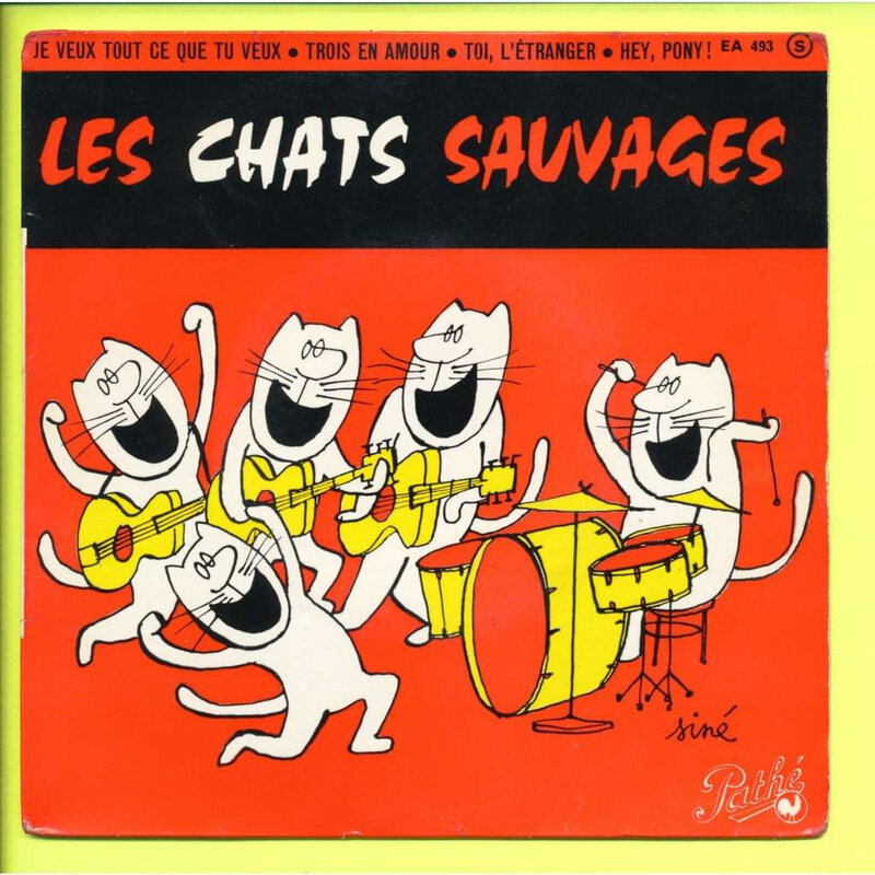 chats sauvages siné